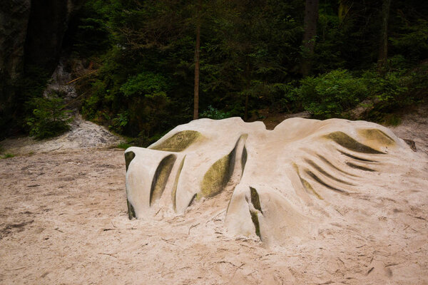 Камень в уникальных скалах горы Adrspasske Скалы в национальном парке
