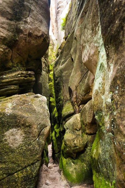 Unique rocks mountain Adrspasske skaly in national park Adrspach — Stock Photo, Image