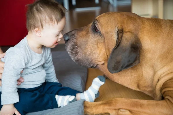 Portrait de mignon bébé garçon avec trisomie 21 — Photo