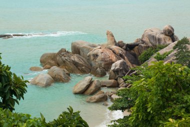 Hin Ta ve Hin Yai kayaların ya da büyükanne ve büyükbaba kayalar Koh Samui