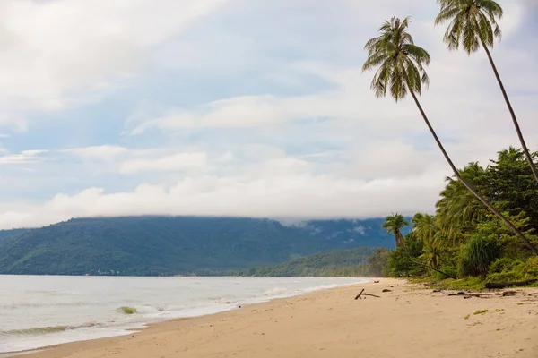 Szép üres reggel Samui beach, pálmafákkal — Stock Fotó