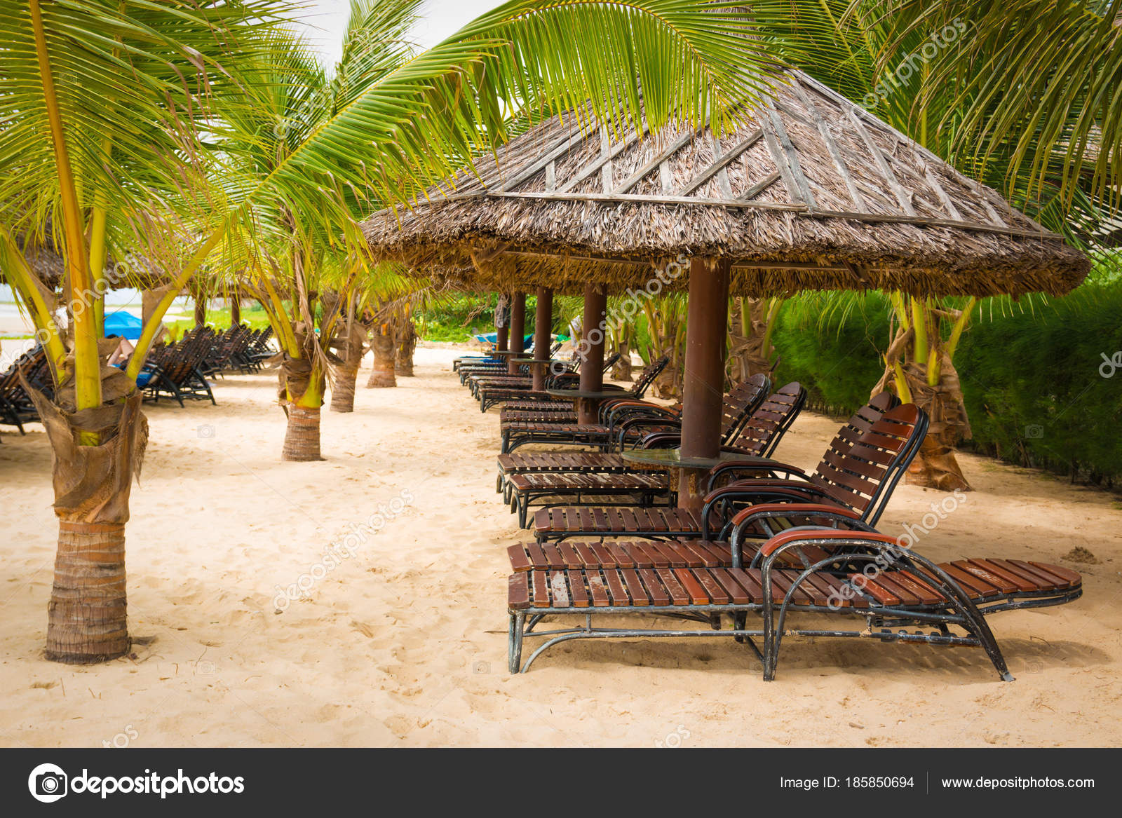 Les Feuilles De Marron Au Toit De Chaume Parasols Sur La