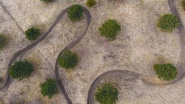 Aerial top view of motocross racing track between trees clipart