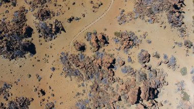 Üstten Görünüm patika Teide Milli Parkı'nda Tenerife, İspanya