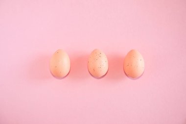 pembe Pembe Paskalya yortusu yumurta