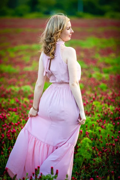 Jovem Mulher Vestido Rosa Campo Trevo Vermelho Hora Pôr Sol — Fotografia de Stock