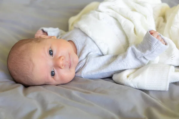 Retrato de cerca de un hermoso bebé de un mes sobre una manta gris — Foto de Stock