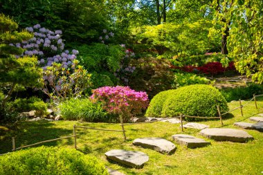 Botanik Bahçesi Troja, Prag, Çek Cumhuriyeti 'nde mor çalılı Japon bahçesi
