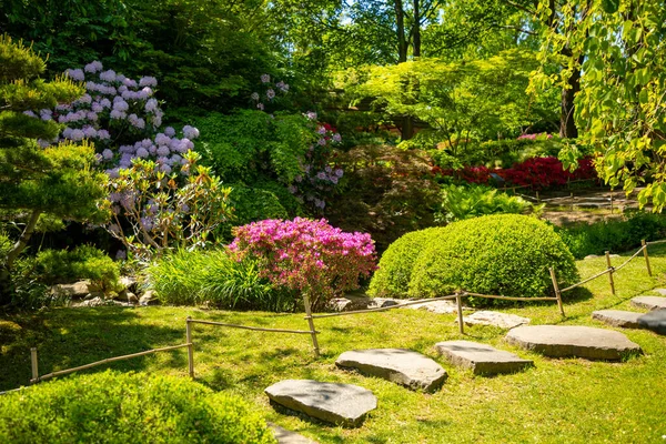 Jardin Japonais Avec Buisson Pourpre Dans Jardin Botanique Troja Prague — Photo