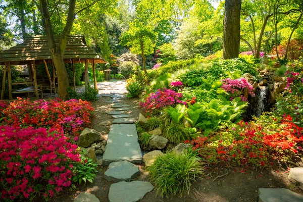 Jardín Japonés Con Arbusto Púrpura Jardín Botánico Troja Praga República — Foto de Stock