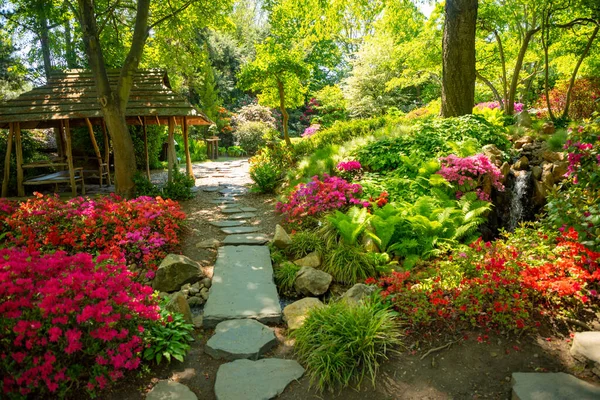 Jardin Japonais Avec Buisson Pourpre Dans Jardin Botanique Troja Prague — Photo