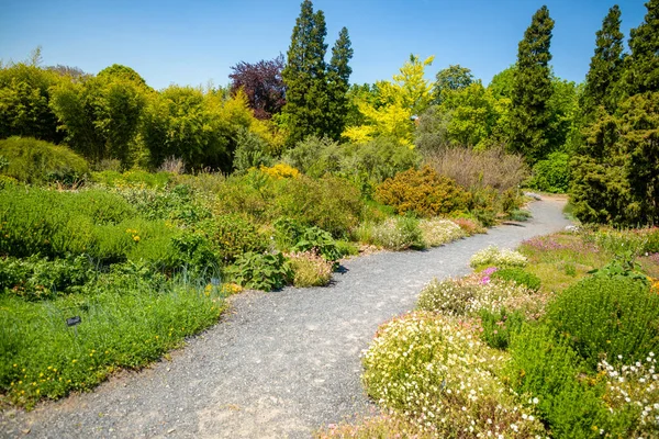 Bela Paisagem Jardim Botânico Praga Durante Temporada Primavera Colorido República — Fotografia de Stock