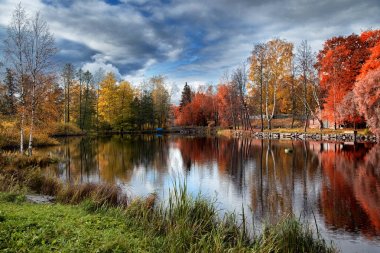 Karelian autumn. Beautiful trees with colorful leaves near a lake. clipart