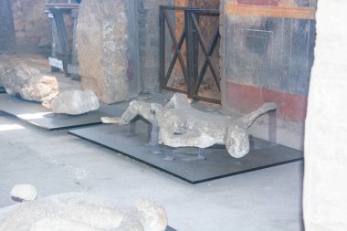 Pompei köşeleri nadir kez bakıldı