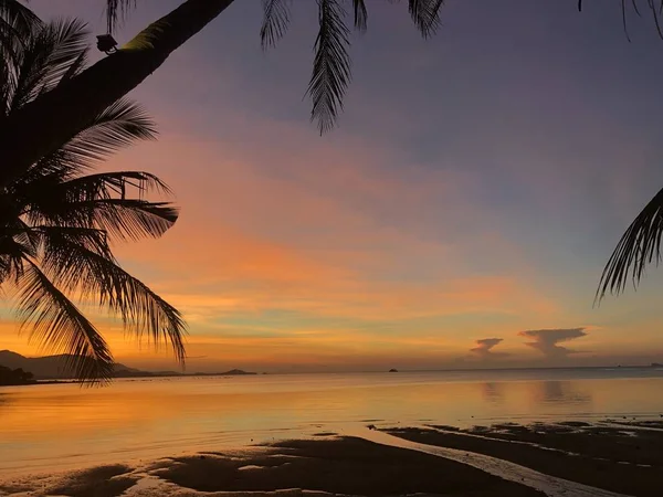 Pôr-do-sol tropical dourado com silhuetas . — Fotografia de Stock