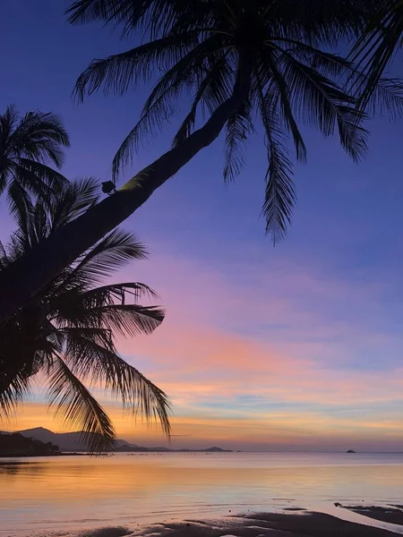 Coucher de soleil tropical doré avec silhouette palmiers . — Photo