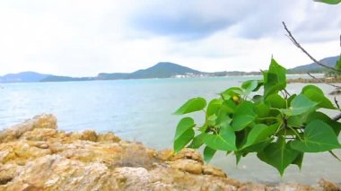 Tropikal plaj beyaz kum kıyı Tayland.