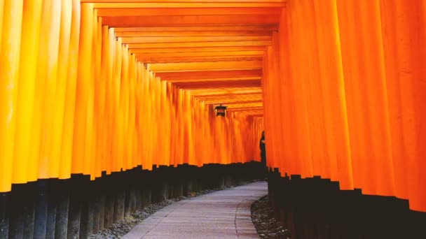 伏見稲荷神社や伏見稲荷大社、京都市の神社。その何千もの朱色の鳥居で有名な日本の記念碑. — ストック動画