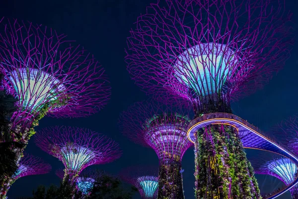 Vista del jardín por la bahía en la noche - Singapur . — Foto de Stock