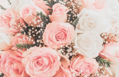 Pembe Gül de bir düğün ya da Sevgiliye arka plan olarak kullanmak