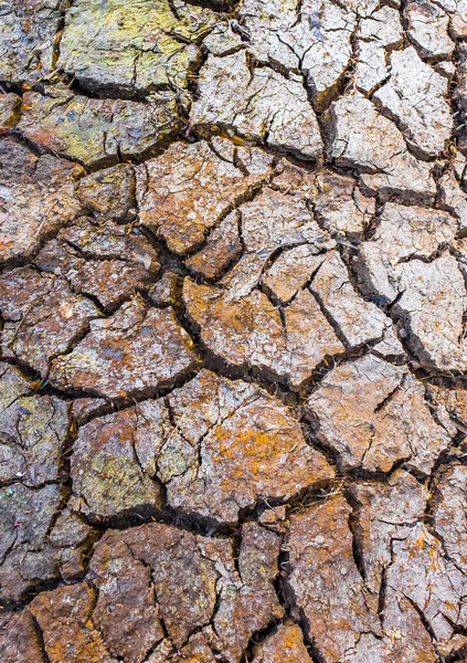 Sprucken brun lera jord, torka mark bakgrund — Stockfoto