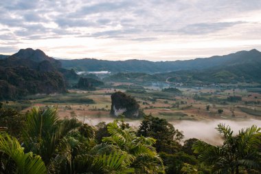 Manzara. Phayao, Tayland 'da Phu Lang Ka' da güzel bir gün doğumu.
