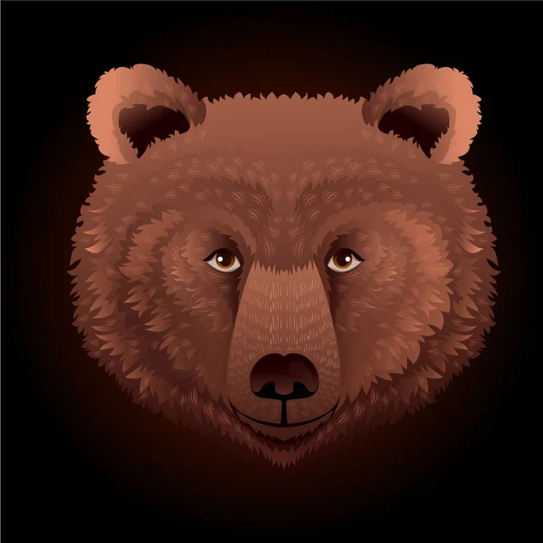 Bear wild animal face. Grizzly cute brown bear head portrait. Realistic fur portrait of brown large bear isolated on black background.