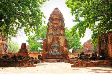 Buda heykeli Wat Mahathat Tapınağı, Ayutthaya, Tayland.