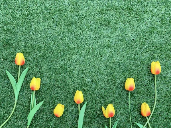 Pink tulip flowers border on grass background