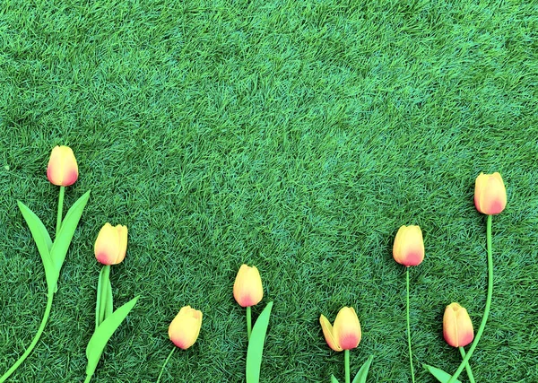 Rosa Tulpenblüten Rand auf Gras Hintergrund — Stockfoto