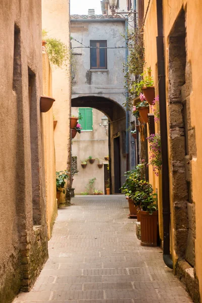 Casco Antiguo Pitigliano Toscana Italia — Foto de Stock