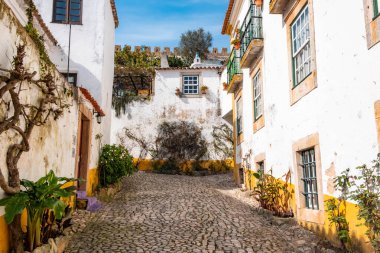 Portekiz 'in Obidos şehrinde tipik bir dar sokak..