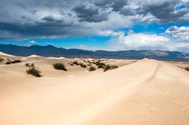 Mesquite Düz Kum Tepeleri, Ölüm Vadisi Ulusal Parkı, Kaliforniya, ABD