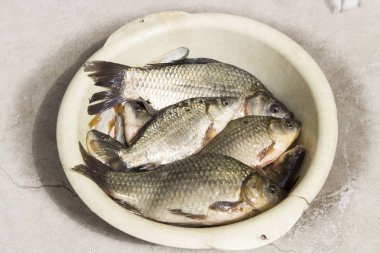 Beyaz bir tabak içinde yalan sazan balık. Balık tutma