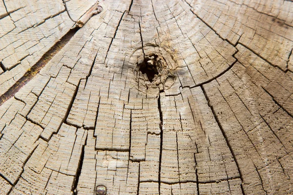 Textur Hintergrund altes Holz gesägt vom Ende einer Kettensäge — Stockfoto