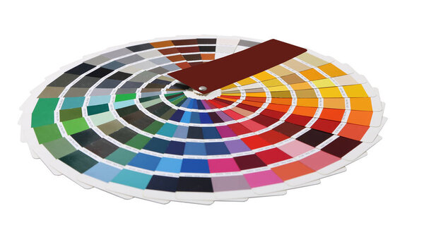 коллекция ральных цветов на белом фоне
