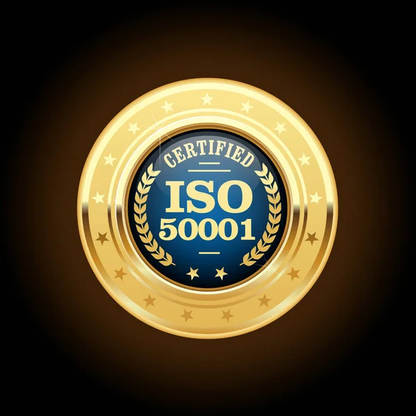 Iso 50001 표준 메달-에너지 관리 — 스톡 벡터