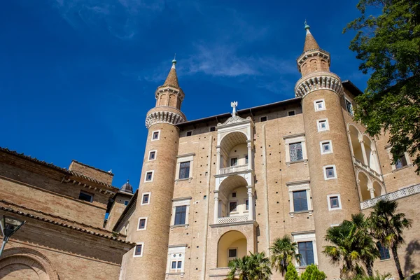Ducale Sarayı Urbino, Marche, alt açılı