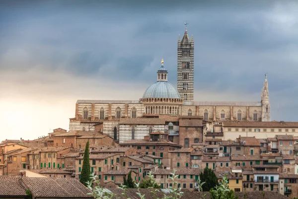Panorama de Siena, Toscana, Italia con hermosa cúpula de Siena C — Foto de Stock