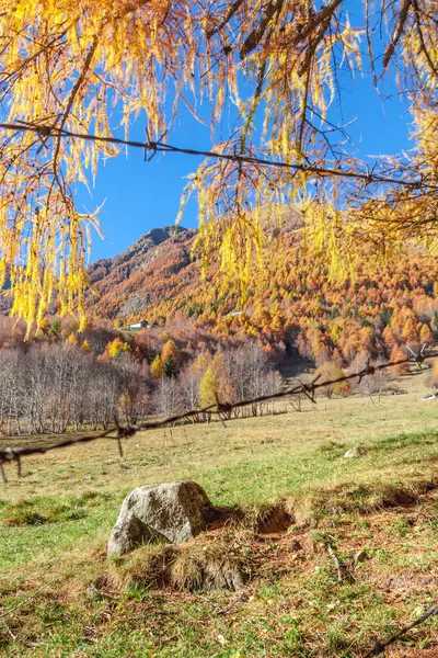 Einsamer Stein und ein herbstliches Panorama in den italienischen Alpen — Stockfoto