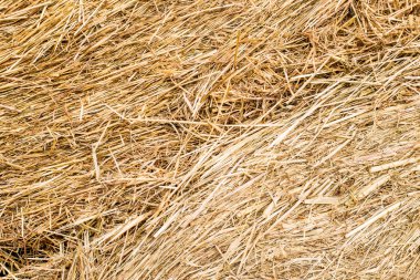 Saman balya doku arka plan. Saman rulo