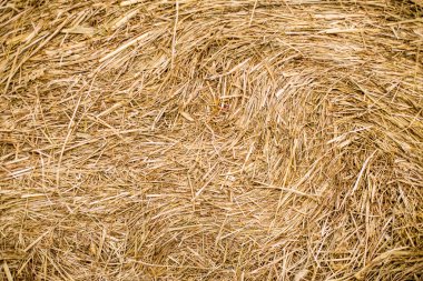 Saman balya doku arka plan. Saman rulo