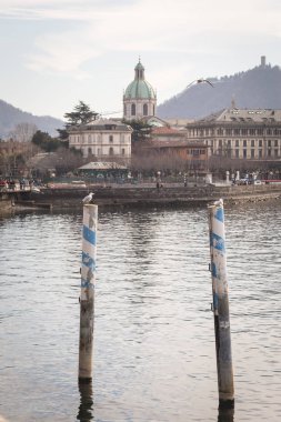 Como'nun cityscape önünde ayağı üzerinde iki martı dinlenme