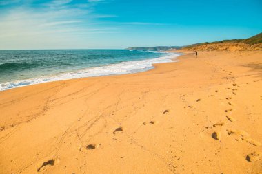 Ayak izleri çalışır kum Sardunya Plajı Gutturu üzerinde 