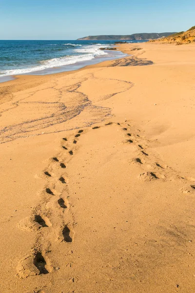足の痕跡は Gutt サルデーニャ ビーチで砂に走る ストック写真