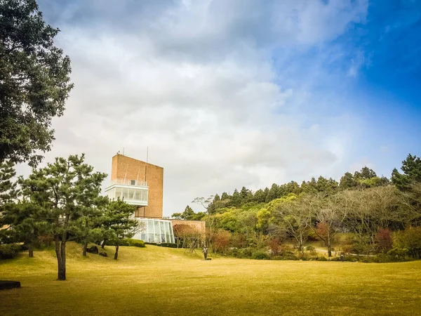 Bonito de Osulloc chá museu jardim em fundo céu azul — Fotografia de Stock