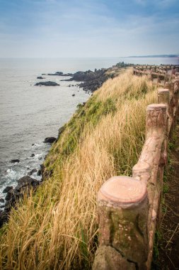 Güzel manzara görünümünü Seopjikoji Jeju Adası, Güney Kore