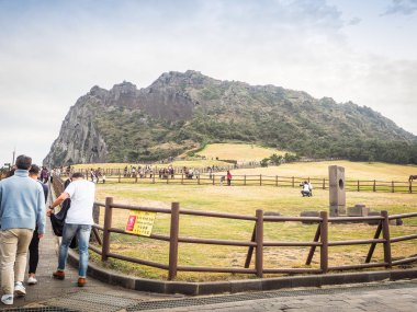 Turist Seongsan Ilchulbong Güney Kore'de Jeju Adası ziyaret etti