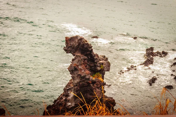 Yongduam también conocido como roca cabeza de dragón en la isla de Jeju, Corea del Sur —  Fotos de Stock