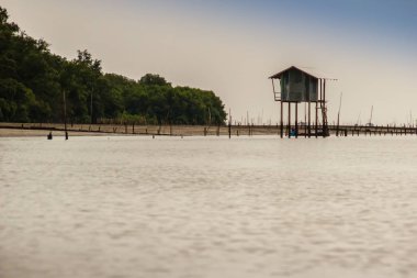 Sahibi için kalıp göz kulak ol eskiden denizde siper al